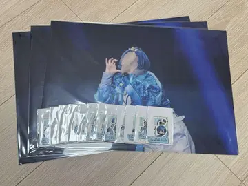 STPR EXPO 스티커 클리어 포스터 세트 치구사군