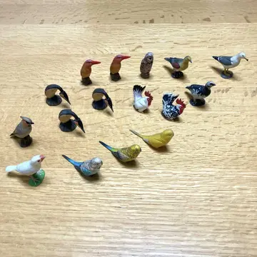 카이요도 미니어처 생물 새 13종 16체
