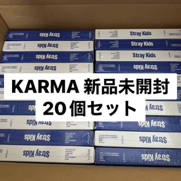 Stray Kids 스키즈 karma 일반ver 세트 20개