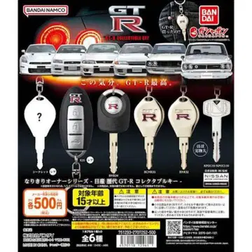 GT-R 컬렉션 키 캡슐 토이 r35