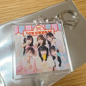 pixelribbon 랜덤 아크릴 키링 아크키 시크릿