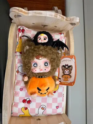 MM SUGAR BABY 호박 캣 3