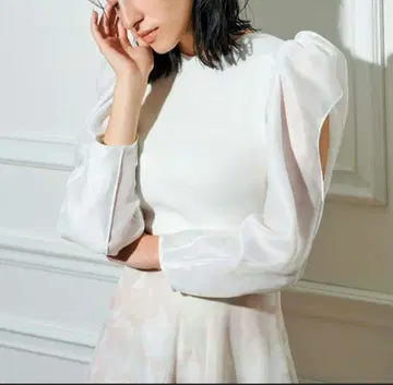 CELFORD 시스루 카라 슬리브 니트