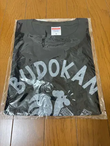 플라워 컴퍼니즈 Flower companyz 플라칸 BUDOKAN