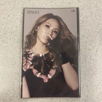 2NE1 YG exhibition 트레이딩 카드 카드