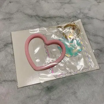 앙스타 파샤츠 케이스