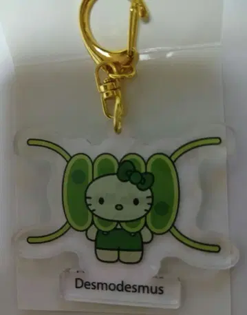 Algae x Hello Kitty 아크릴 키링