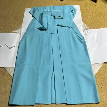 사하카마 아사기색