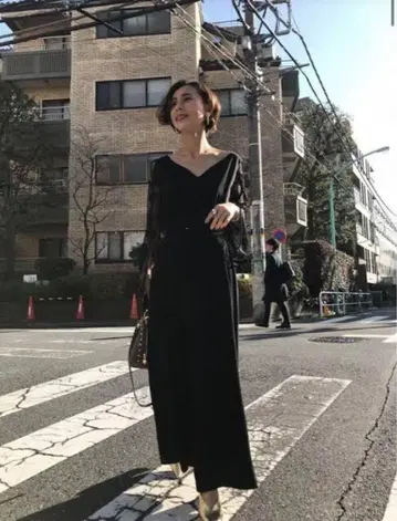 LACE SLEEVE REFINED DRESS /Ameri VINTAGE