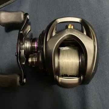 스티즈 CT 8.1
