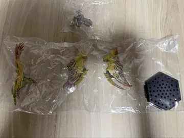 몬스터 헌터 스탠다드 모델 Plus 레 다우 + 보너스 부품