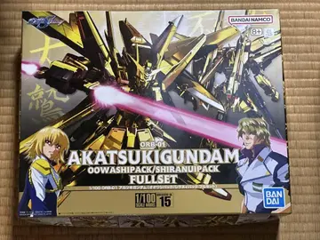 새상품 미조립 건담 프라모델 1/100 아카츠키