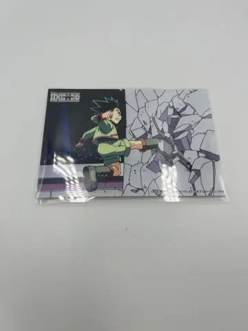 HUNTER x HUNTER 구 애니메이션 브로마이드 곤