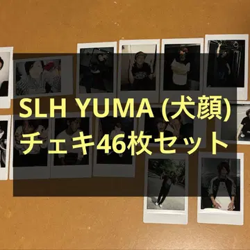 SLH YUMA 강아지 얼굴 폴라로이드 46장 세트