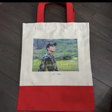 재가격 인하 이와타 타카노리 토트