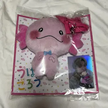 사토 타이키 우파고로 패스 케이스