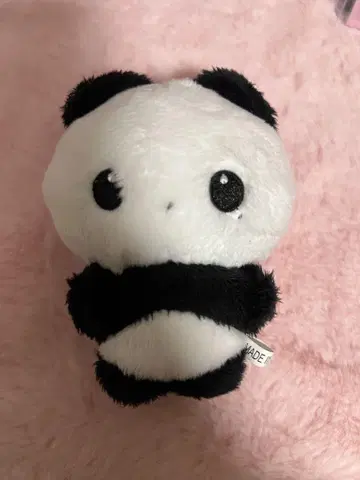 NCTWISH 사쿠야 봉제 인형