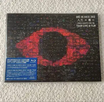 [ ONE OK ROCK 2013 '인생 x 너=' LIVE ]