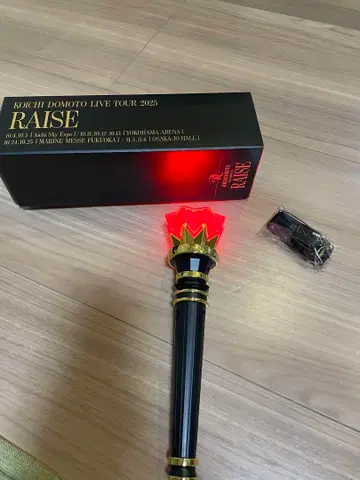 Koichi Domoto Live Tour 2025 Raise 응원봉