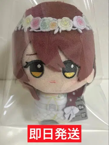 아이돌마스터 샤이니 컬러즈 SD 인형 오사키 텐카 남코 한정판