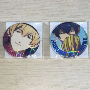 망각 배터리 호로호로 캔뱃지 요우 케이 세이호 하루카