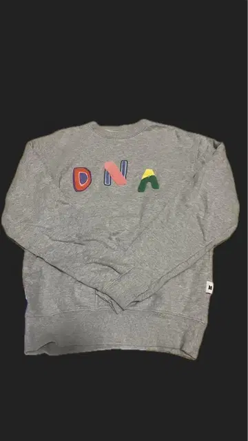 BTS DNA 태태 자수 그레이 맨투맨 S