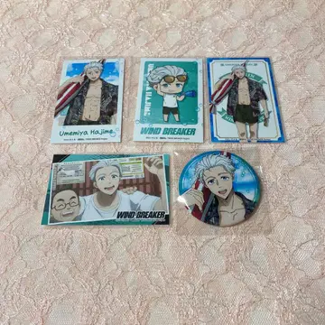 WIND BREAKER 우메미야 잇치