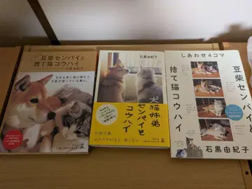 콩시바 선배와 버려진 고양이 후배 3권