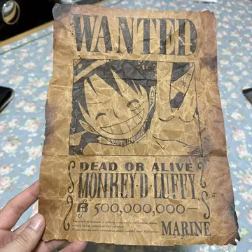 몽키 D 루피 WANTED 포스터