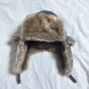 플라이트 캡