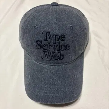 typeservice.web 캡
