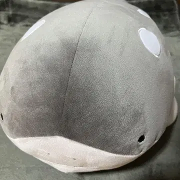 포켓몬스터 뽀떼하구 쿠션 도오 봉제 인형 정품