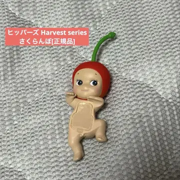 소니 엔젤 히퍼스 Harvest series 체리