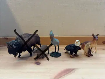 동물 피규어 하시기로코우 하크토우와시 캥거루 콜렉타 사파리