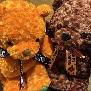 러블리 로즈 베어 테디베어 할로윈 빅 사이즈