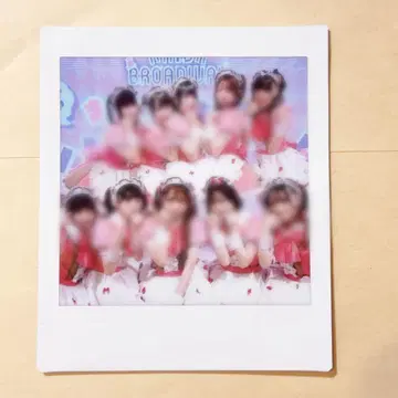 아키브로 팀 B 폴라로이드
