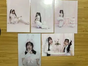 사쿠라바 하루카 파루탄 브로마이드 세트