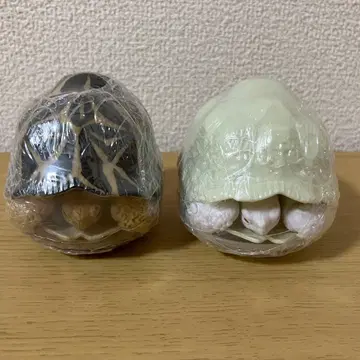 생물대도감 거북 [인도 별거북, 인도 별거북 (알비노)] 2세트