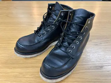 RED WING 9874 아이리쉬 세터 차심 개 택