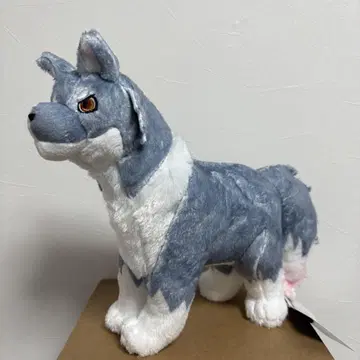 환일의 요하네 라이라프스 BIG 봉제 인형