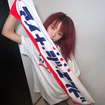 아이나지엔드 타월