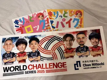 밸리 WORLD CHALLENGE SERIES 2025