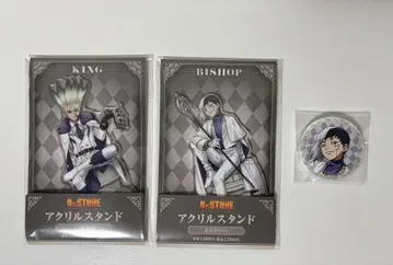 Dr.STONE 이시가미 센쿠 아사기리 겐 아크릴 스탠드 & 캔뱃지