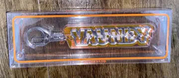 VAUNDY 키링