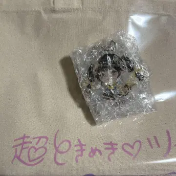 초도키메키 센덴부 포케코로 트윈 사카이 히토카 스다 아키 아크릴 키링