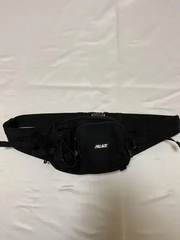 PALACE Cordura RS 보틀 번 백 팩
