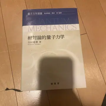 상대론적 양자역학 카와무라 요시하루 저