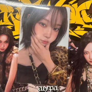 윈터 트레이딩 카드 6000엔