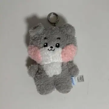 zb1 zeroni 고니니 고누크 키링