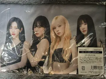 [ 미사용 새상품 ] aespa 슬로건 타월 도쿄돔